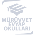 Murruvet